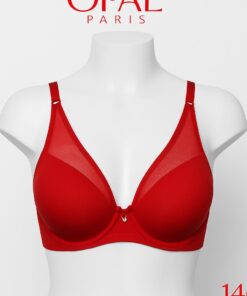 Push-Up bra with sheer mesh